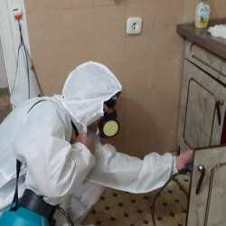 Дезинфекция от муравьев в квартире Улица Дмитриевского метро Москвы