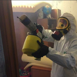 Уничтожение клопов в квартире. Улица Дмитриевского